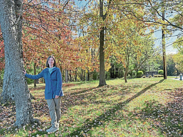 8992458_web1_sew-Janel-9