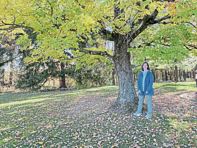 8992458_web1_sew-Janel