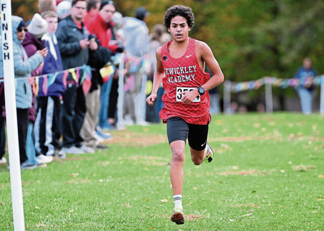 Sewickley Academy sophomore turns talent into WPIAL cross country title