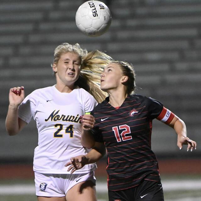 Norwin notebook: 3 soccer players earn all-WPIAL honors