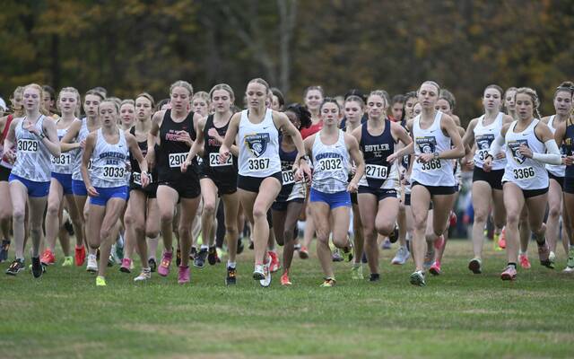 Norwin, Shady Side Academy girls, Quaker Valley’s Jonah Montagnese run to PIAA gold