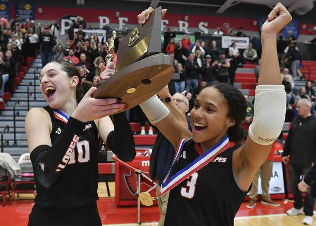 No. 11-seeded Avonworth caps playoff run with WPIAL Class 2A volleyball championship