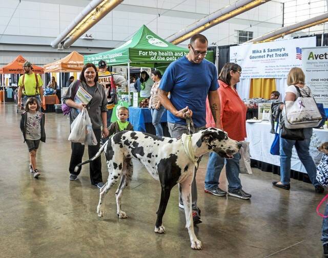 9013737_web1_PTR-FiveThings-Pet-1