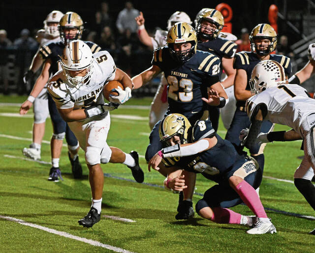 The Birdie talks WPIAL realignment before making A-K Valley playoff picks