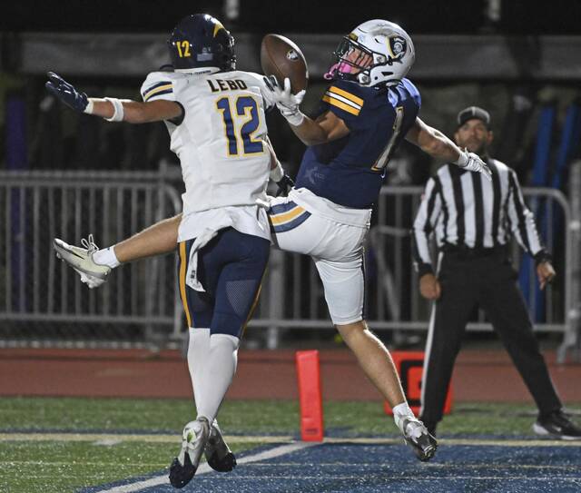 After enjoying a bye, The Birdie is fired up for 2nd week of playoffs for Westmoreland County teams