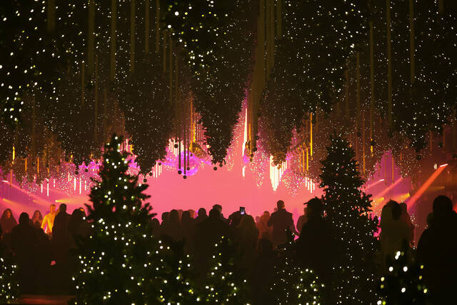 9015880_web1_2025-11-09t194116z_1910357227_rc23thajq0up_rtrmadp_3_christmas-season-germany-art