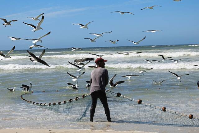 9015884_web1_2025-11-11T093554Z_213441407_RC2XOHAOVCMB_RTRMADP_3_CLIMATE-COP30-SAFRICA-FISHING