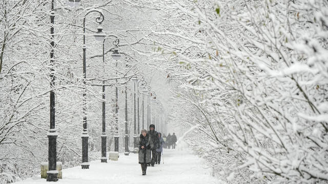 9015899_web1_AP25328529721231