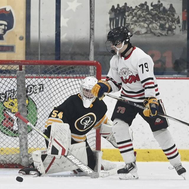 9015899_web1_ptr-QVMoonhockey09-112525