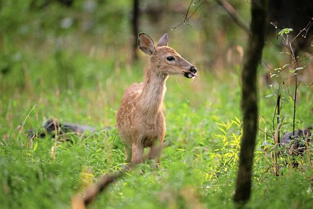 9016360_web1_2025-11-04T175437Z_286998877_MT1USDAYNETNP86121167007_FRTPIP_4_USA-TODAY-NETWORK