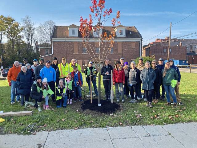 9016827_web1_sig-Bvilletree1