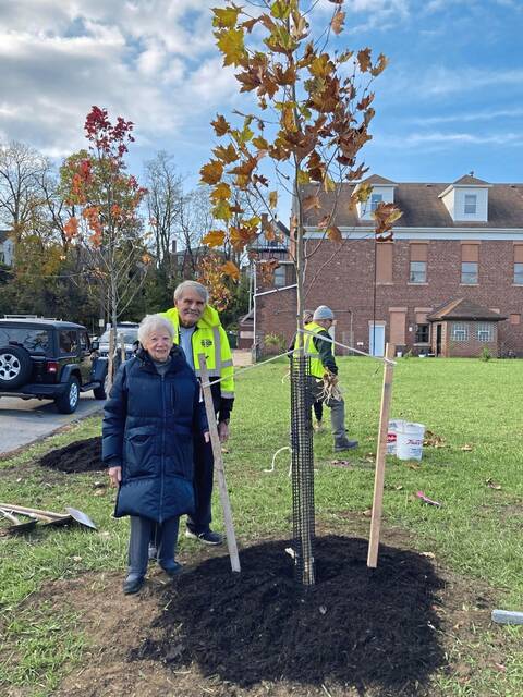 9016827_web1_sig-Bvilletree2