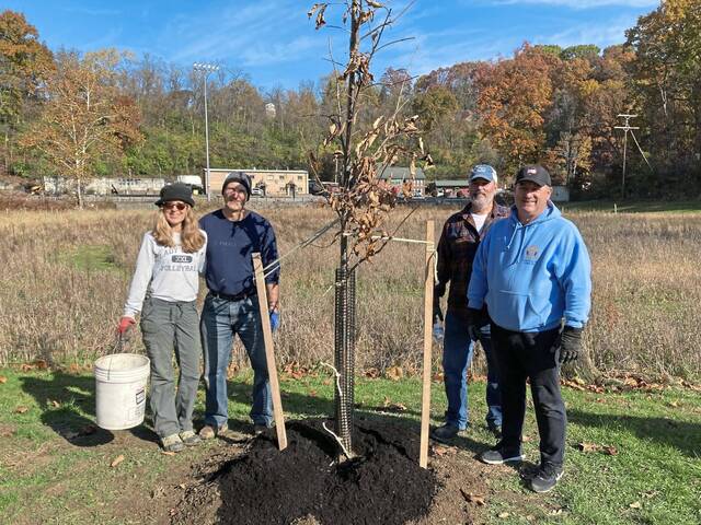 9016827_web1_sig-Bvilletree3