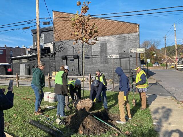 9016827_web1_sig-Bvilletree4