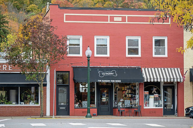 9018030_web1_sew-ThreeDogBakery100-113025