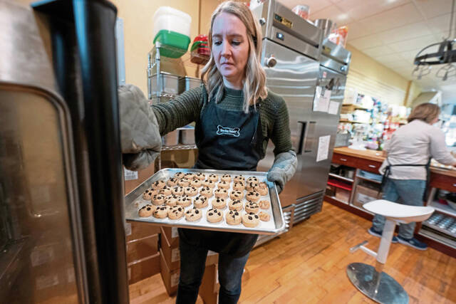 9018030_web1_sew-ThreeDogBakery103-113025