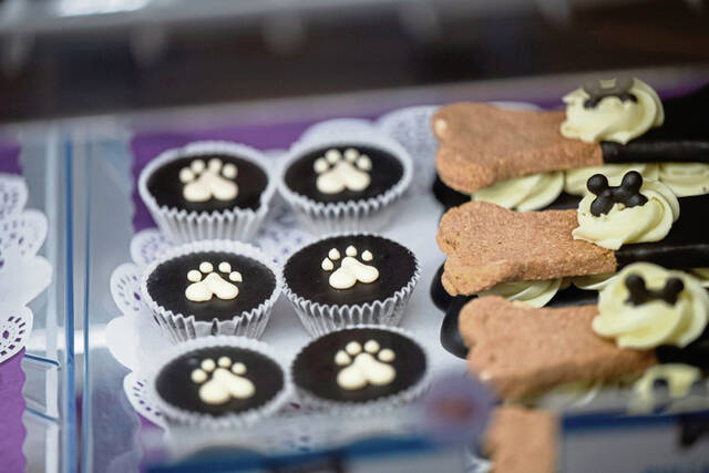 9018030_web1_sew-ThreeDogBakery106-113025