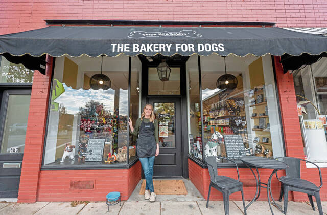 9018030_web1_sew-ThreeDogBakery107-113025
