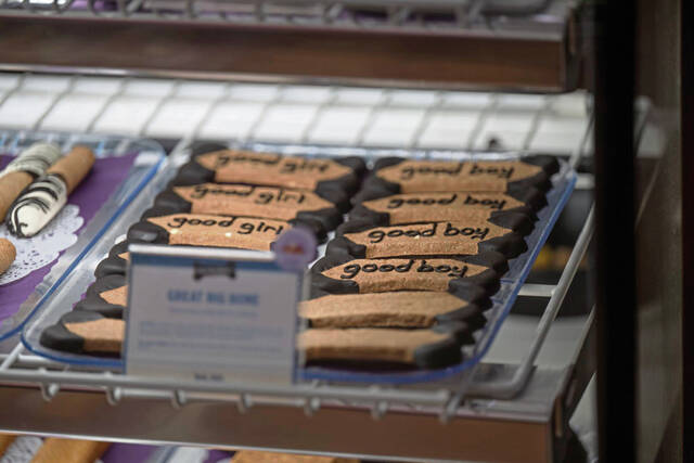 9018030_web1_sew-ThreeDogBakery108-113025