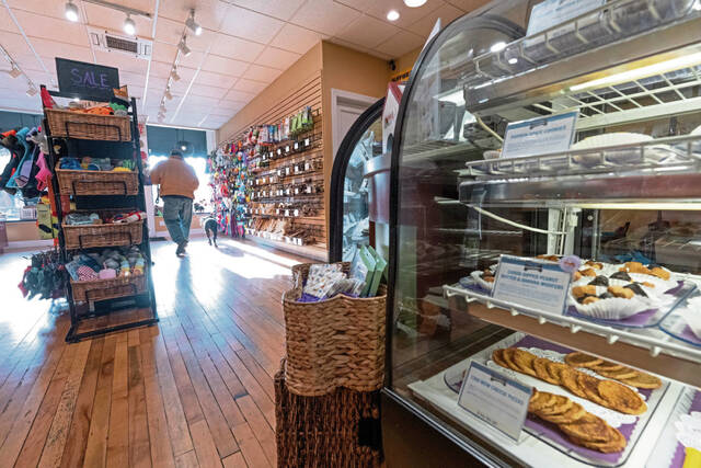 9018030_web1_sew-ThreeDogBakery109-113025