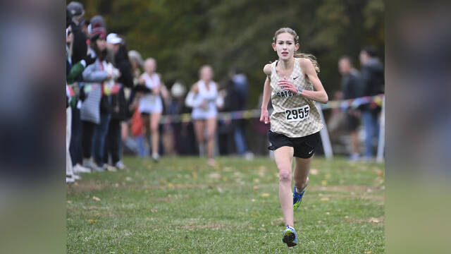 Runner makes Gateway history at PIAA cross country meet