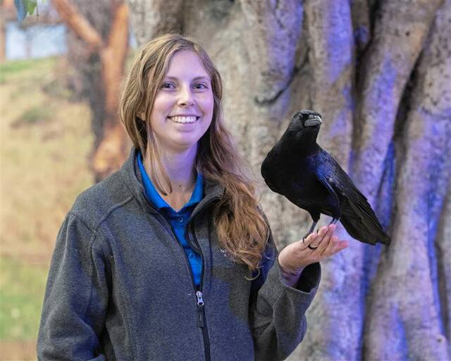 9026591_web1_part-nativeaviarywinter-111725