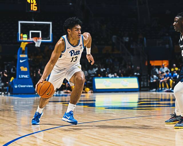 9027746_web1_gtr-PittLongwood02-110825