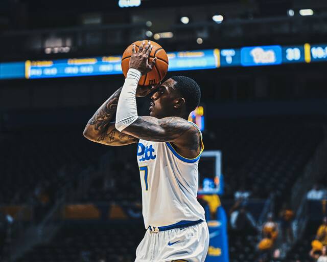 9027746_web1_gtr-PittLongwood03-110825