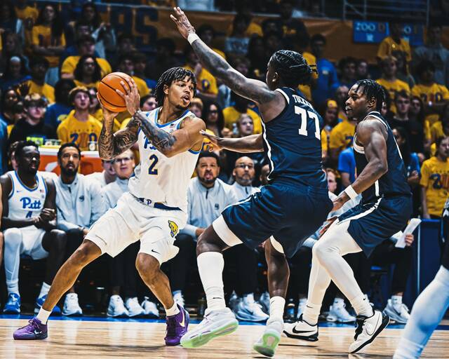 9027746_web1_gtr-PittLongwood04-110825