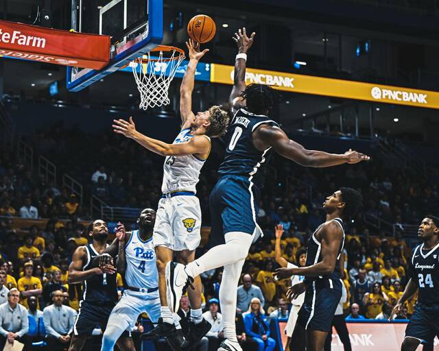 9027746_web1_gtr-PittLongwood05-110825