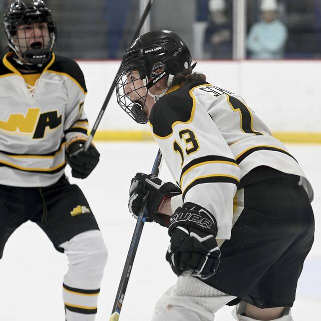 North Allegheny hockey skates to quick start under 1st-year coach