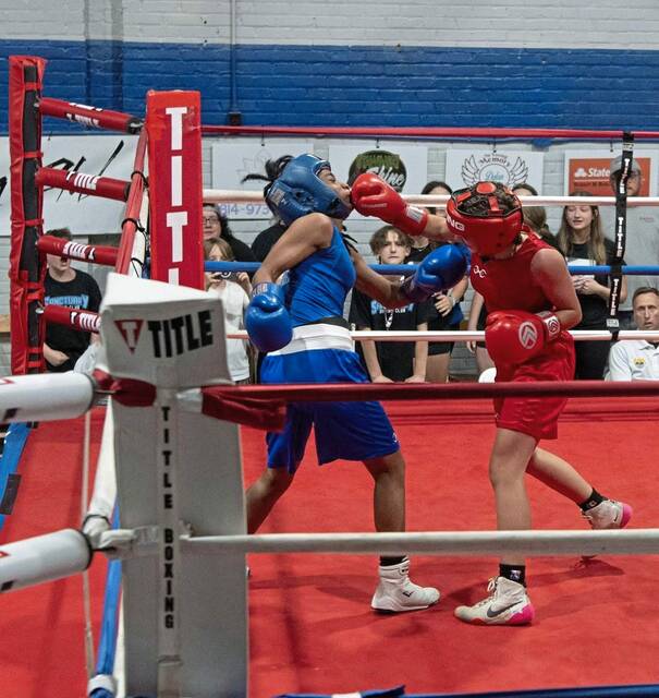 9028421_web1_vnd-Sanctuaryboxing1-110825