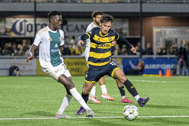 9030688_web1_ptr-hounds-110925