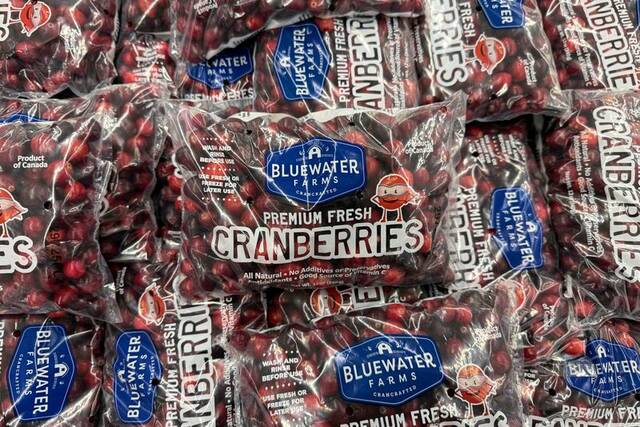 9030887_web1_2025-11-08T161253Z_1_LYNXMPELA708U_RTROPTP_3_USA-RETAILERS-THANKSGIVING