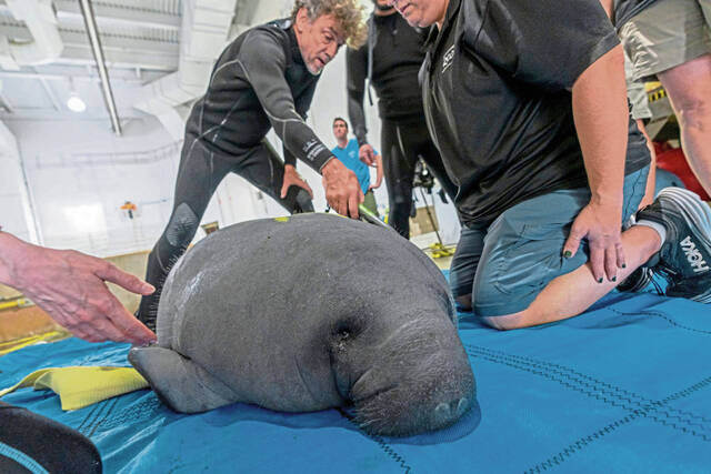 9031860_web1_2025-11-08T194358Z_287351038_MT1USDAYNETOHP86307130007_FRTPIP_4_USA-TODAY-NETWORK