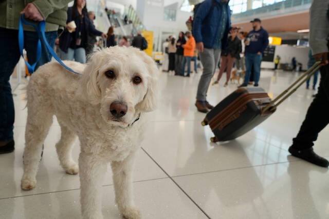 9032933_web1_2025-11-10T033725Z_287465845_MT1USDAYNETNP87183370007_FRTPIP_4_USA-TODAY-NETWORK