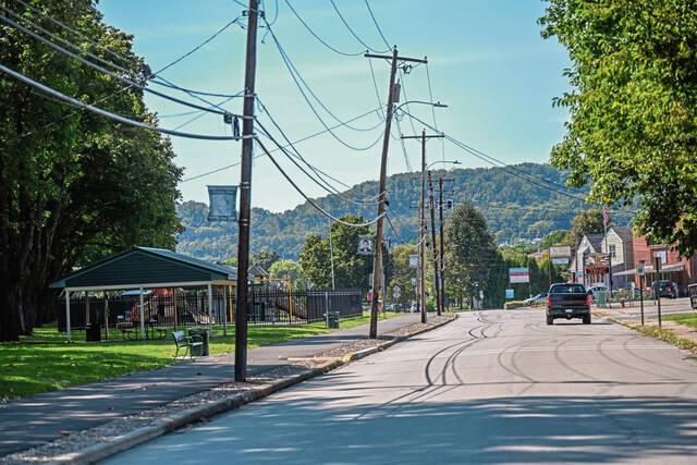 9034548_web1_VND-BrackTrees-091025