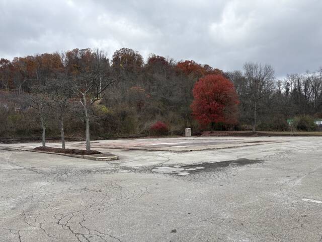 9035391_web1_vnd-PlumBK-111125