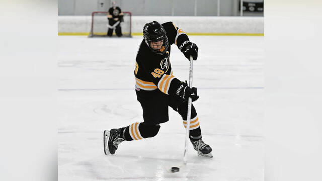 Quaker Valley hockey rides hot start to division lead