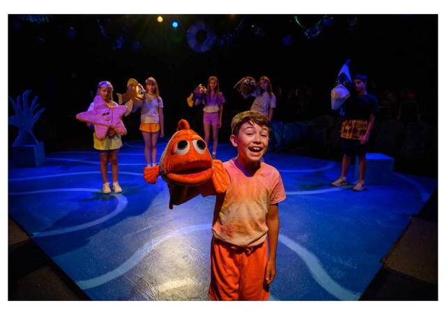 9038590_web1_HAW_7229--1--compressed