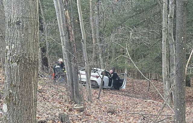 9039809_web1_vnd-caroverhill1-111225