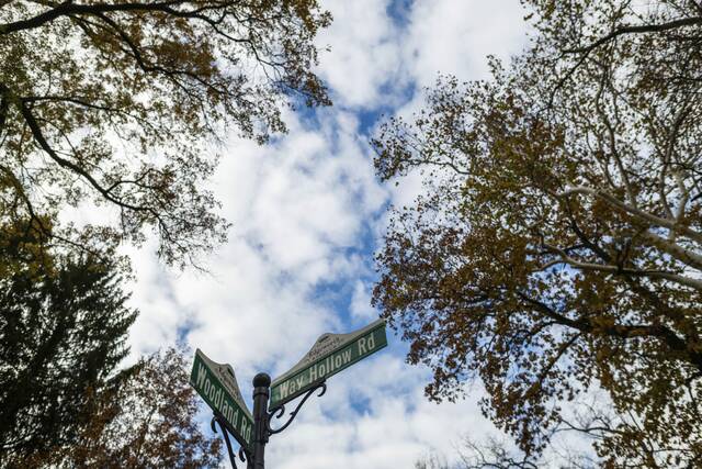 9041890_web1_SEW-WayHollowOpen1-112025