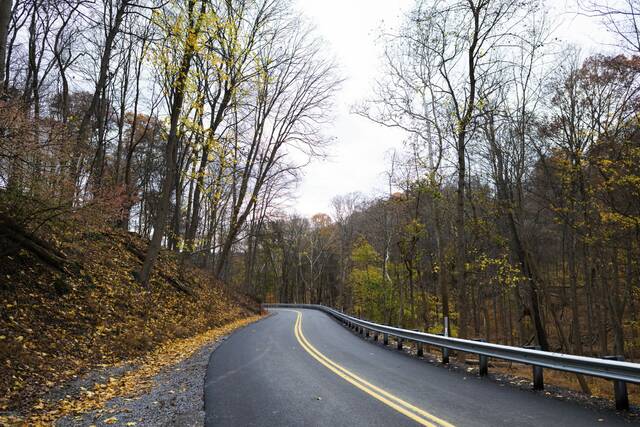 9041890_web1_SEW-WayHollowOpen2-112025