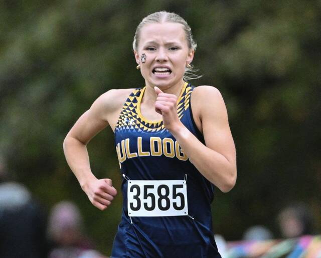 Shady Side Academy junior reflects on rewarding cross country season