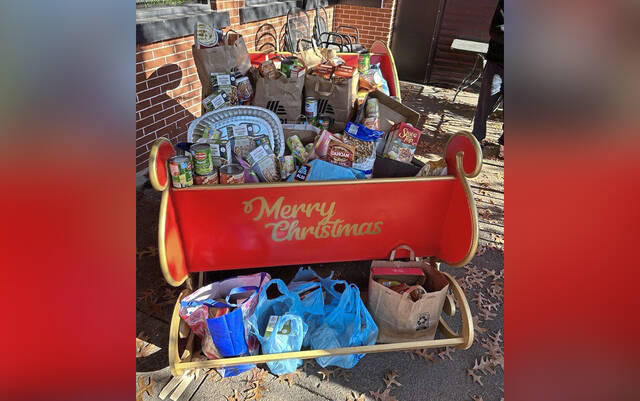 9042739_web1_vnd-Sleigh2-111325