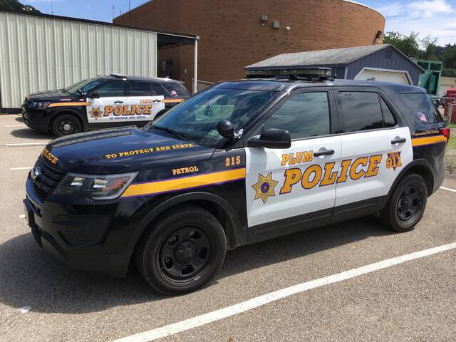 9043159_web1_plum-police-car