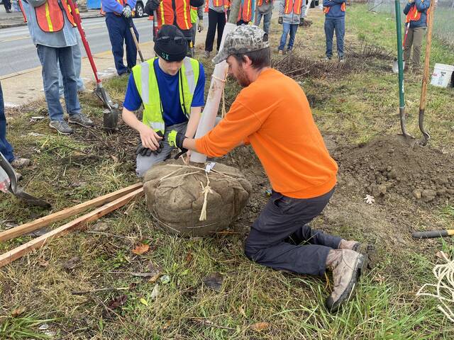 9043935_web1_IMG_6676