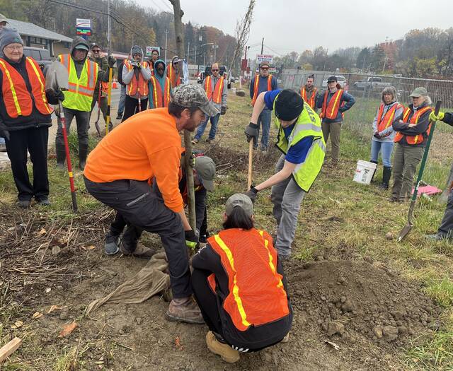 9043935_web1_IMG_6690