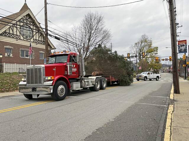 9046149_web1_vnd-pghxmastree11-111724