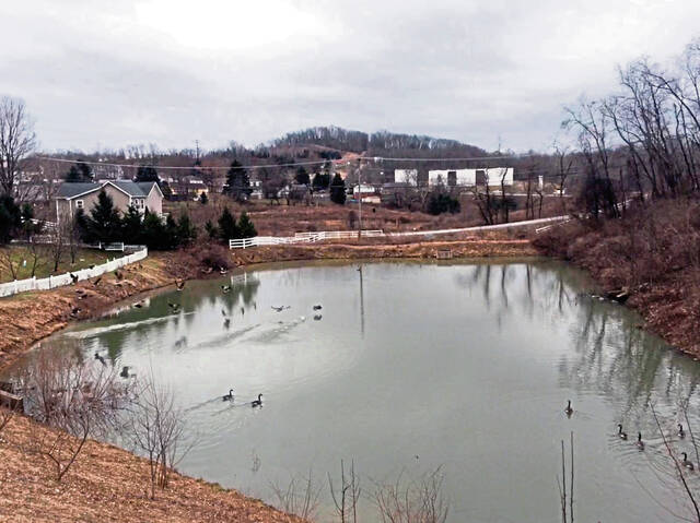 9046377_web1_gtr-murryponds-020919